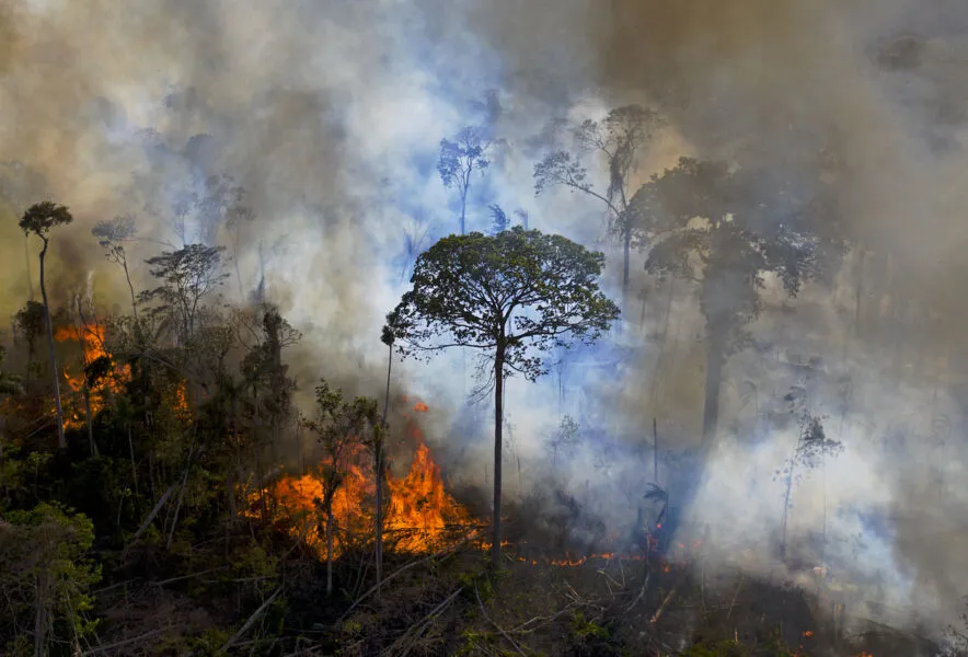 Amazônia  sofreu em maio o maior número de incêndios para esse mês desde 2004