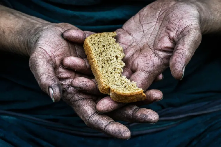 Pesquisa Vigisan visitou 12.745 domicílios de 577 municípios do país