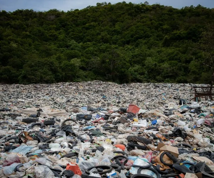 Diariamente, quantidades consideráveis de resíduos plásticos são lançadas no meio ambiente, contaminando, o solo, o ar, os mares e os rios