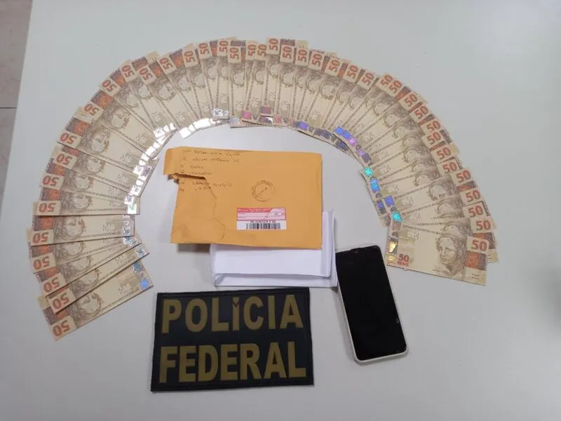 Investigações continuam em âmbito regional e nacional com o objetivo de identificar outros envolvidos