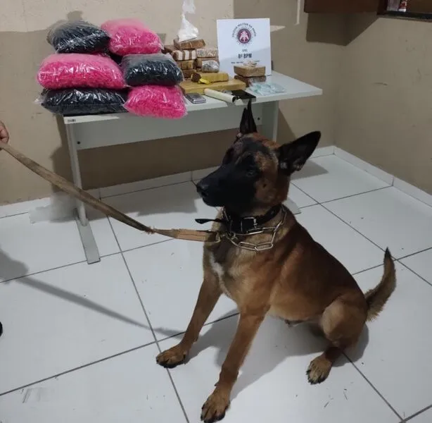 Cão 'Kabu' deu "suporte" às guarnições