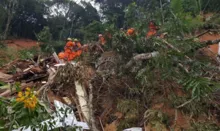Imagem ilustrativa da imagem Identificadas mais 5 vítimas do temporal na cidade de Petrópolis