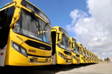 Imagem ilustrativa da imagem 20 novos ônibus chegam para compor frota em Salvador