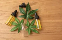 Imagem ilustrativa da imagem Anvisa aprova uso de remédio derivado de cannabis medicinal