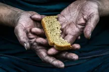 Imagem ilustrativa da imagem 33,1 milhões de pessoas no Brasil passam fome, aponta pesquisa
