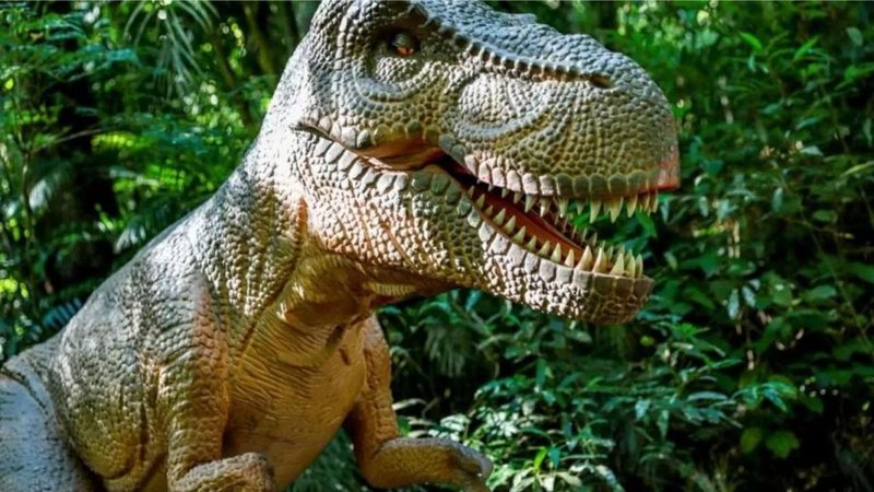“Terra dos Dinos” deve ficar pronta ainda no primeiro semestre de 2022