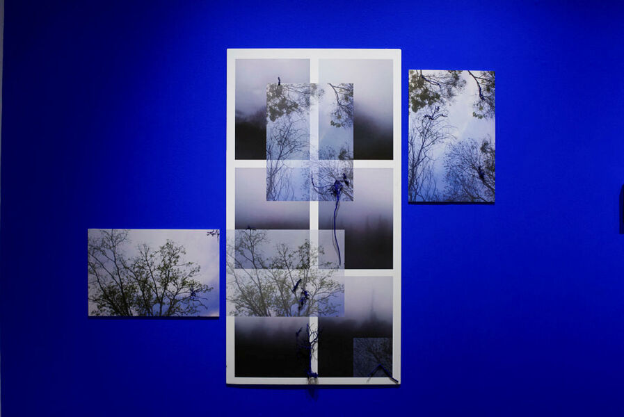 Pinturas, fotografias, livros e objetos compõem o acervo da artista na exposição
