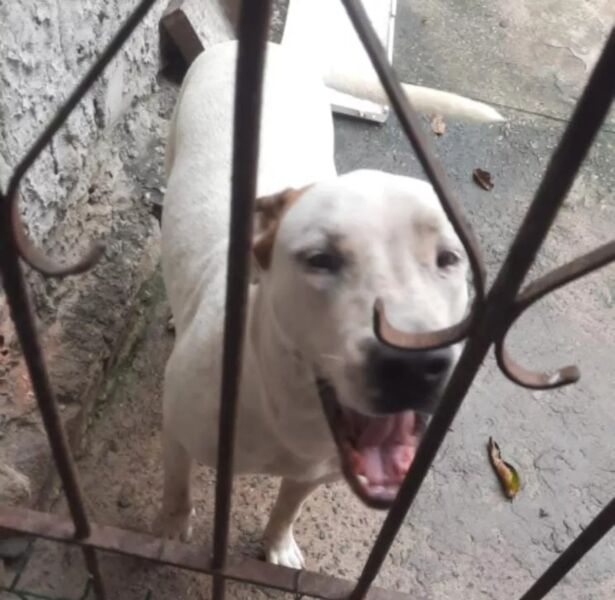 Caso aconteceu no bairro Gleba A