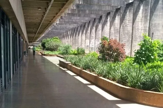 Segundo boletim de ocorrência, o crime ocorreu no campus Darcy Ribeiro, na Asa Norte