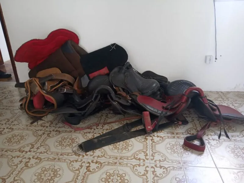 Celas foram uns dos objetos furtados pelos suspeitos