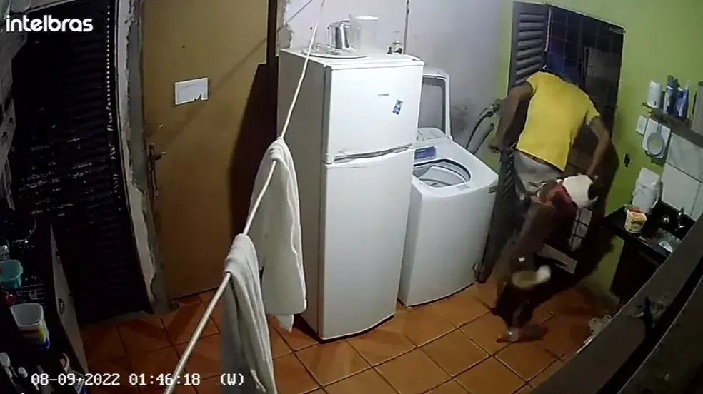 Cachorro da raça Husky Siberiano atacou o bandido e mordeu a mão e a perna