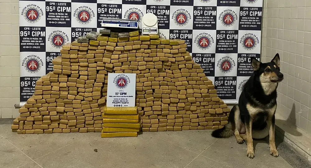 Material foi apresentado na Delegacia Territorial de Alagoinhas
