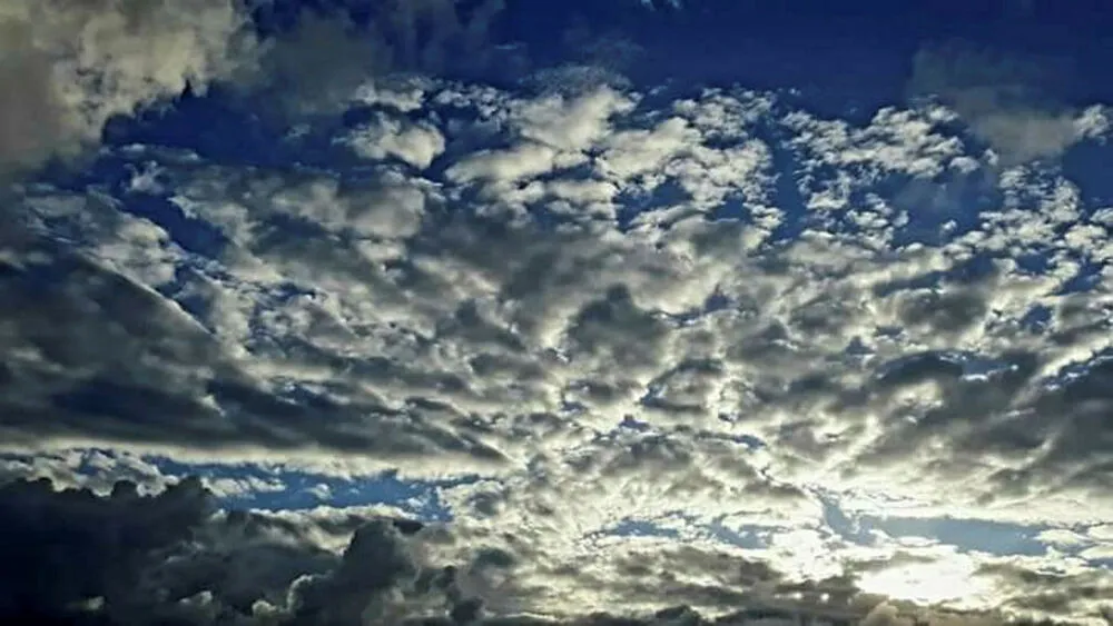 Projeto"O céu nosso de cada dia", de Ligia Aguiar