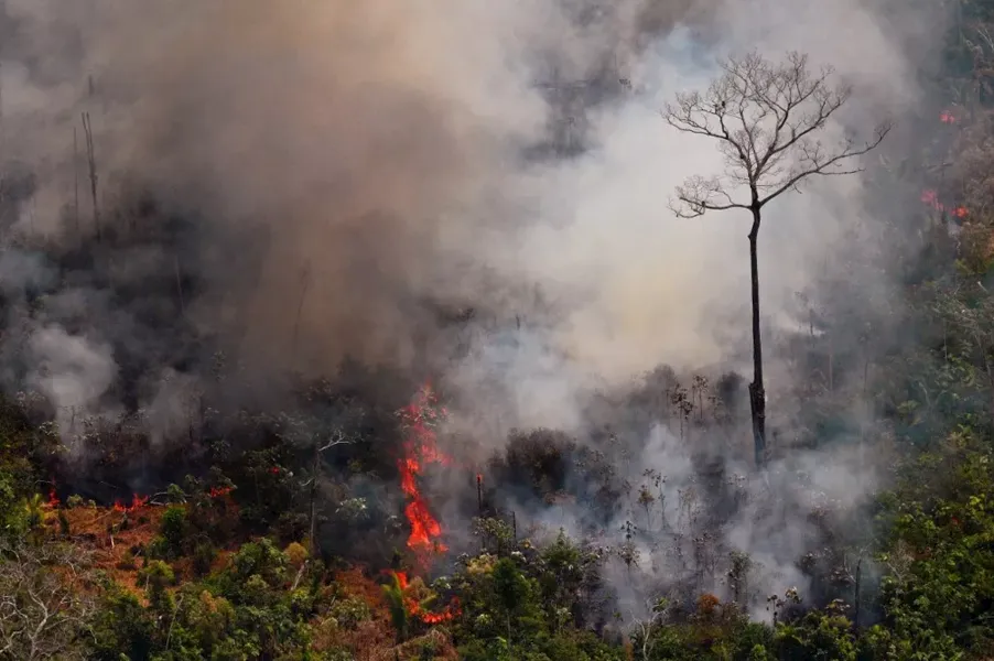 Somente em setembro foram detectados 39.128 focos de incêndio