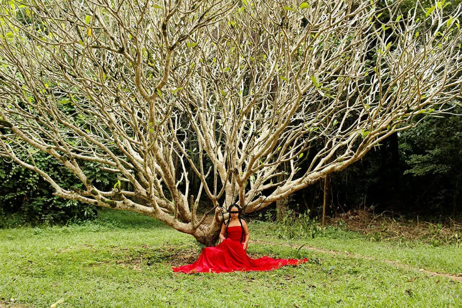Imagem ilustrativa da imagem As fabulações nas performances  de Tina Melo