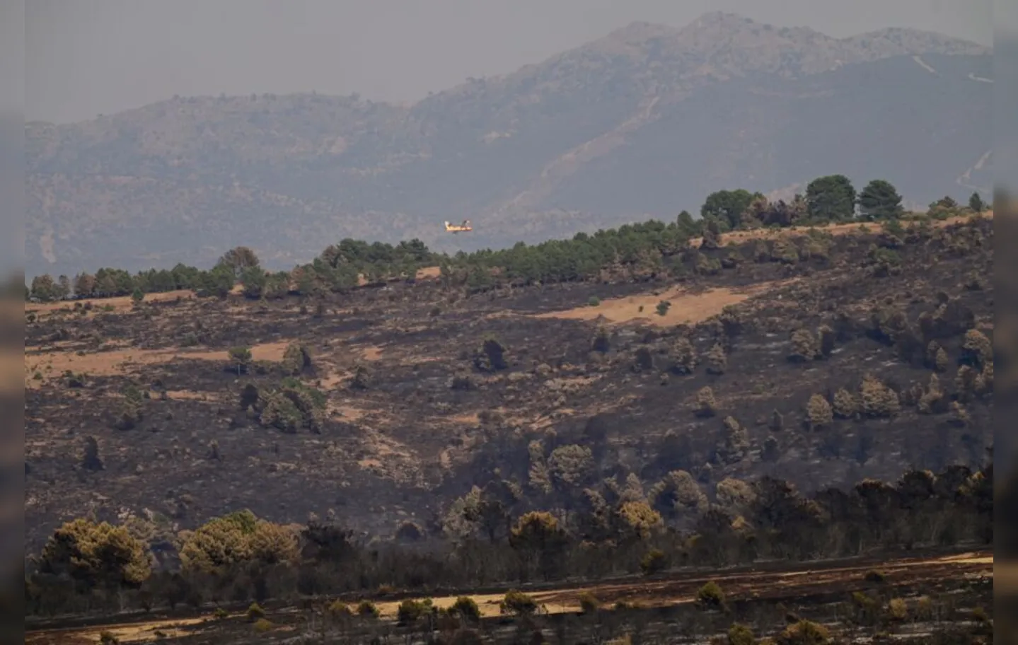 Incêndio em Calatayud afeta um perímetro de 14 mil hectares e provoca a evacuação de 1.700 pessoas