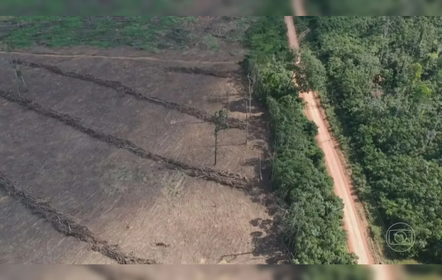 Imagem ilustrativa da imagem Amazônia Legal possui desmatamento recorde em 15 anos, cita Imazon