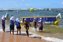 Imagem ilustrativa da imagem Bahia terá 19 atletas representando o estado em competição nacional