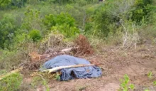 Imagem ilustrativa da imagem Jovem morre após cair com trator de ribanceira em Itamaraju