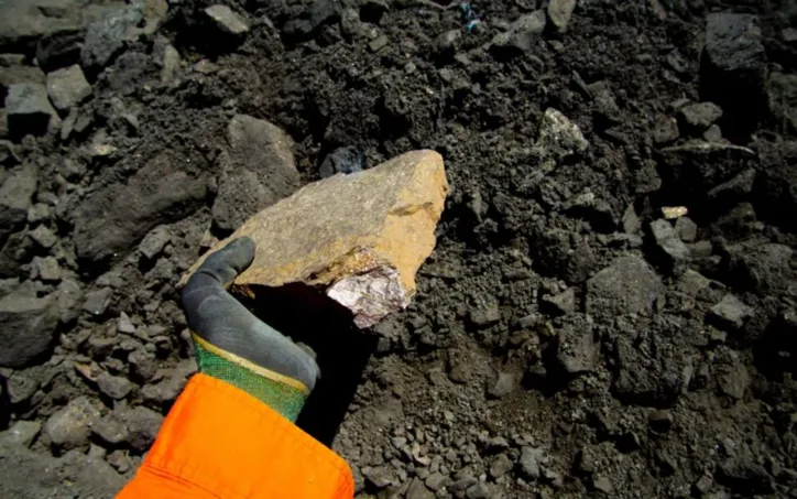 Uma das ideias seria incluir resíduos da mineração na agricultura