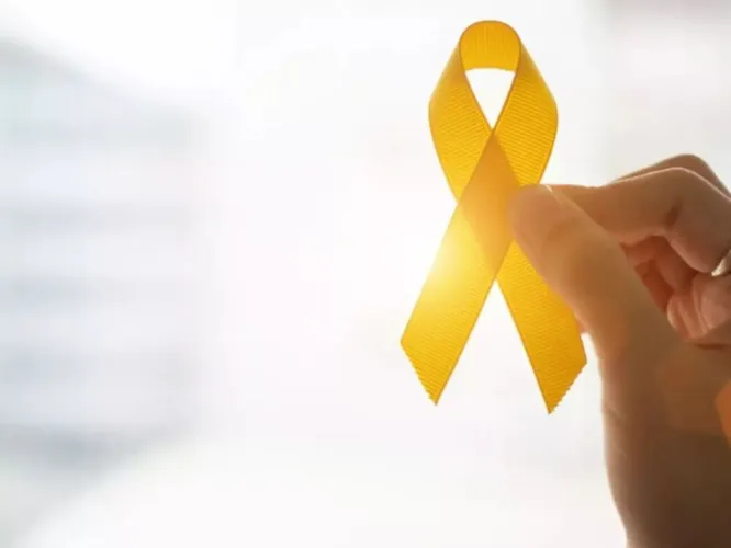 Investimento em comunicação é a principal estratégia para alcançar um maior número de pessoas