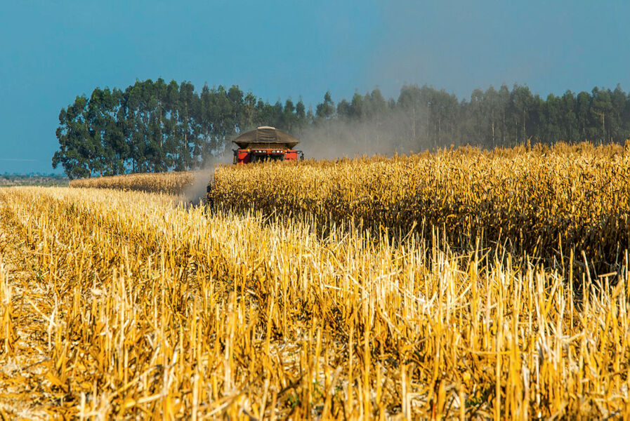 Brasil é potência agroalimentar, energética e ambiental