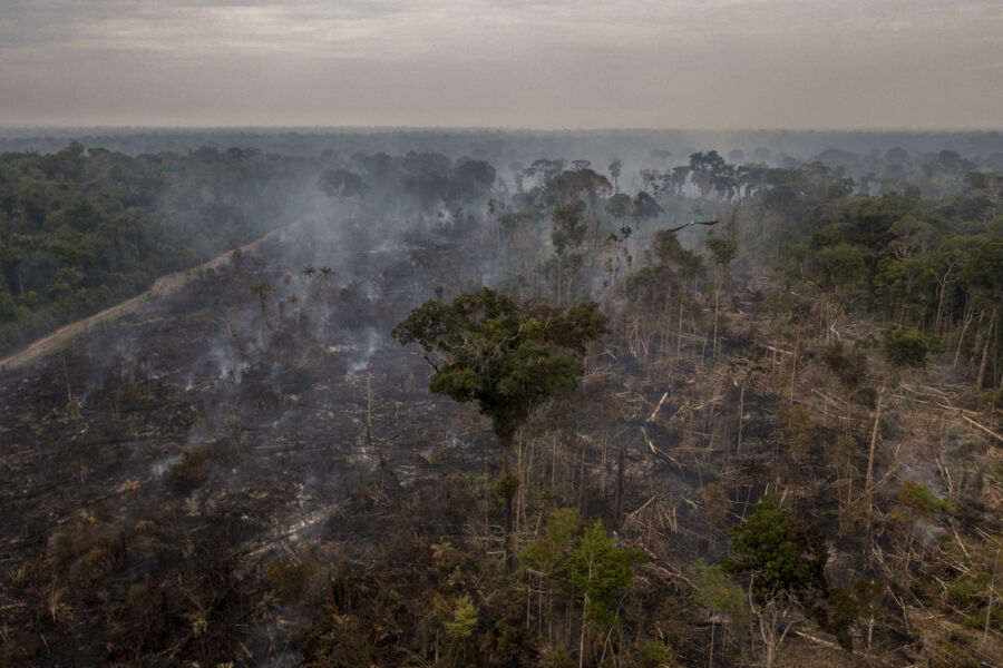 Amazônia perdeu 977 mil hectares de vegetação nativa em 2021