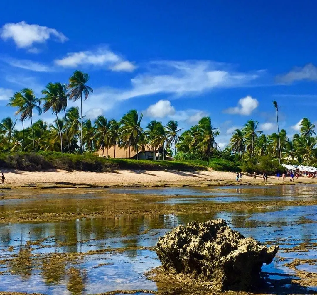 Praia do Forte, região no litoral norte de Salvador