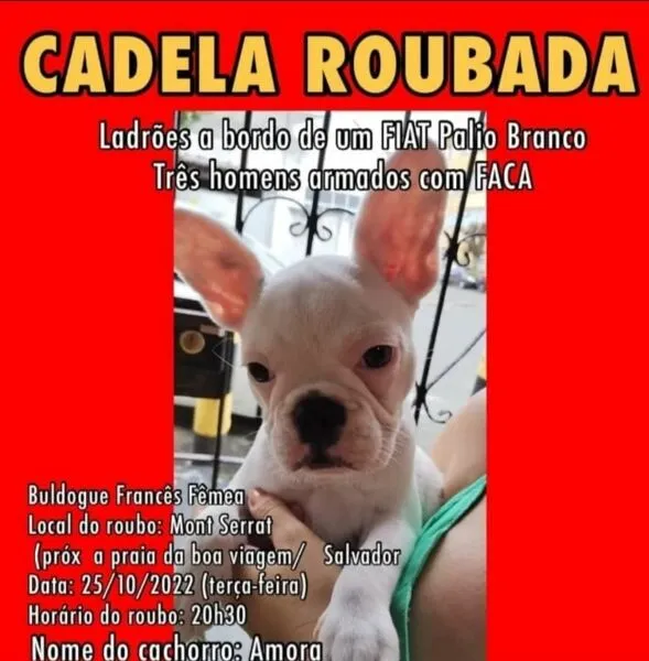 Familiares pedem ajuda para resgatar Amora