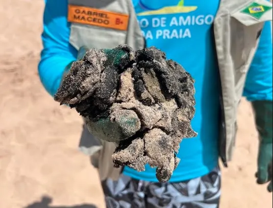 Óleo encontrado nas praias do Sul da Bahia coloca em risco a fauna marinha