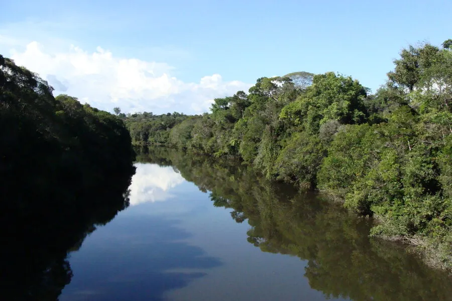 Representa a diretriz aprovada pelos magistrados uma grande vitória para proteção e preservação da floresta amazônica
