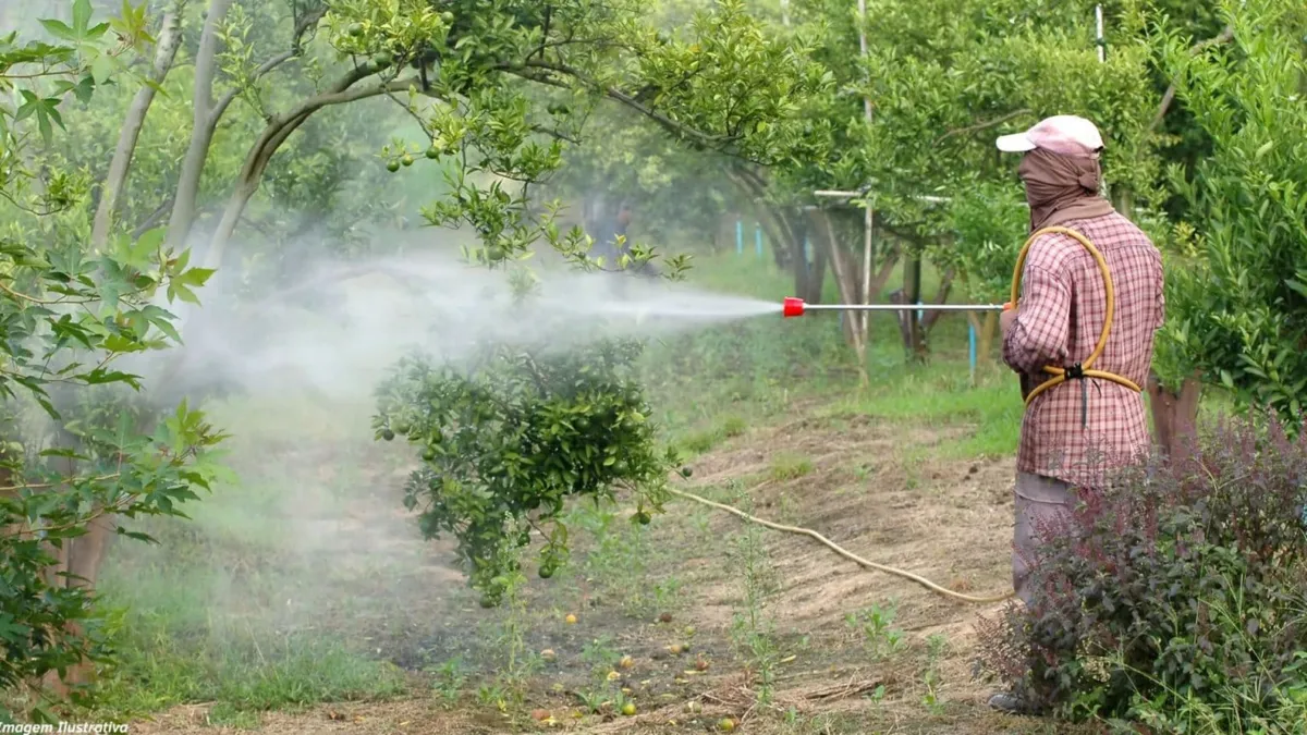 As células obtiveram comportamento não-linear: enquanto altas concentrações do herbicida causaram morte significativa de células boas, baixas concentrações resultaram na proliferação de células doentes