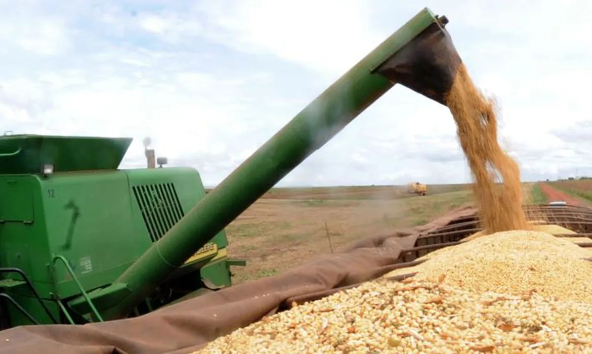 Valor sinaliza um aumento de 4,7% em relação ao ciclo anterior. Já a área cultivada está estimada em 3,7 milhões de hectares, indicando expansão de 1,9% em comparação ao mesmo período