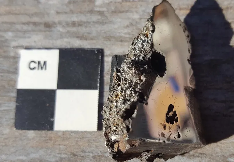 minerais foram batizados de 'elaliita' e 'elkinstantonita'