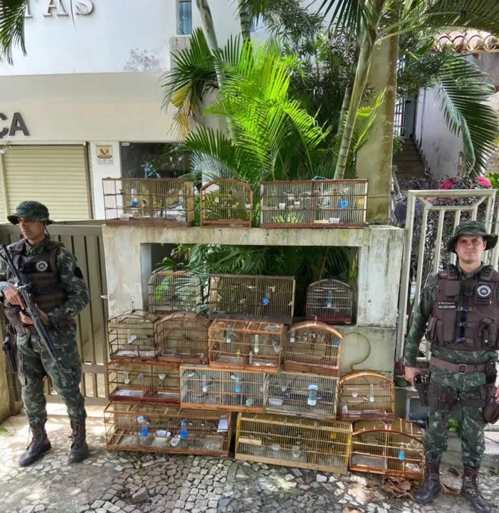 Denúncia apontava maus-tratos em uma fazenda na BR 415, entre os municípios de Ilhéus e Itabuna