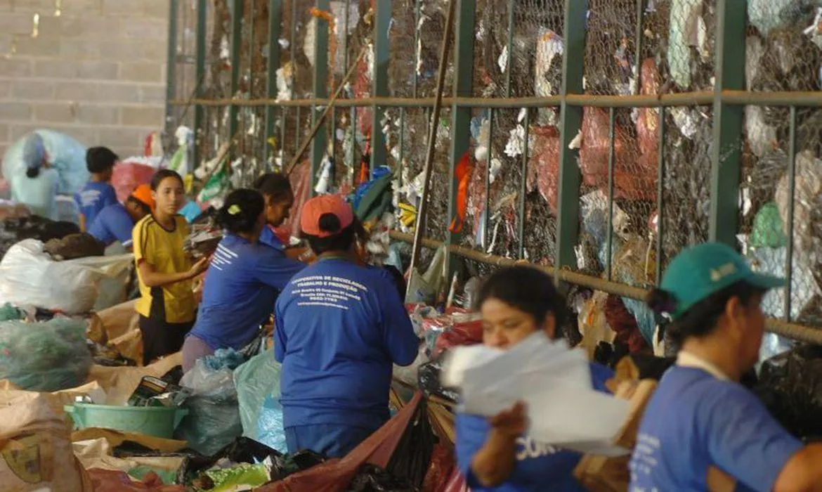 Trabalhadores atuam em cooperativa de materiais recicláveis