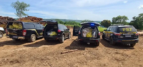 Polícia Federal cumpriu medida em conjunto com a Polícia Rodoviária Federal