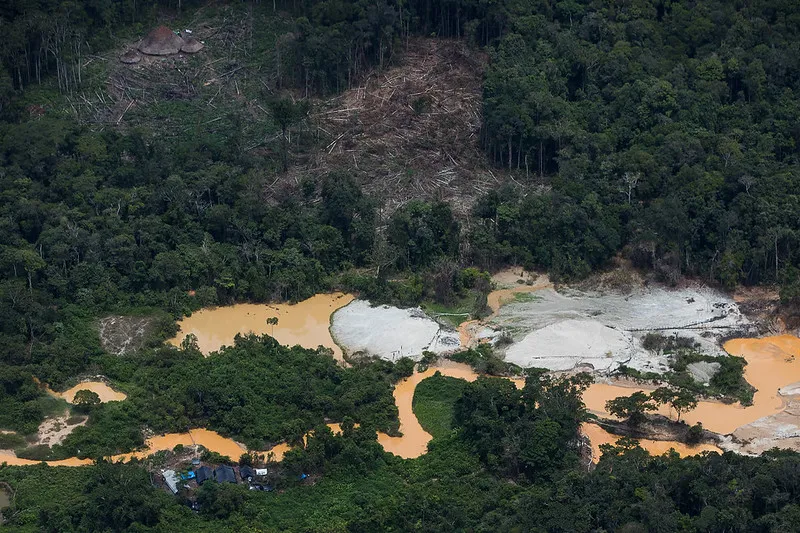 Em 2021, o sistema registrou somente desmate na terra indígena relacionado à mineração ilegal