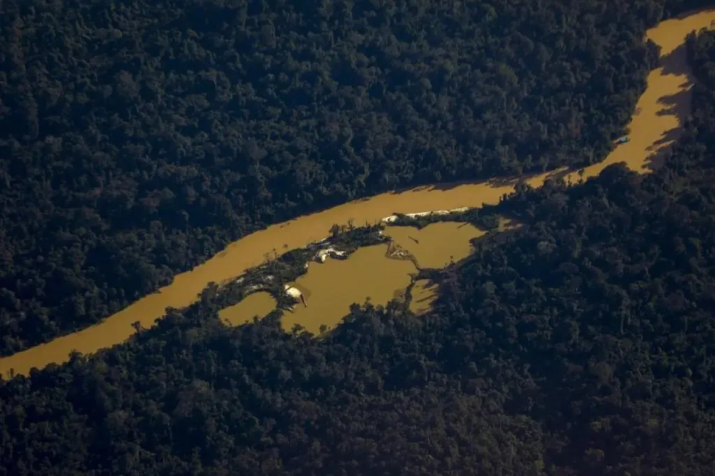 Terra Indígena Yanomami registra fuga de garimpeiros após postura do Governo Federal