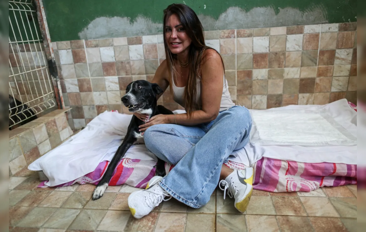 A empresária Marina Guimarães mantém um abrigo e alerta para a responsabilidade de se adotar um animal