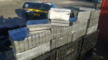 Imagem ilustrativa da imagem Homem é preso transportando 110 kg de cocaína na BR-030