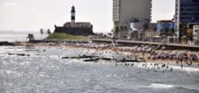Imagem ilustrativa da imagem Inema aponta praias impróprias ao banho em Salvador e Litoral