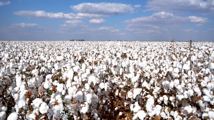 Imagem ilustrativa da imagem Transição agro governamental avança