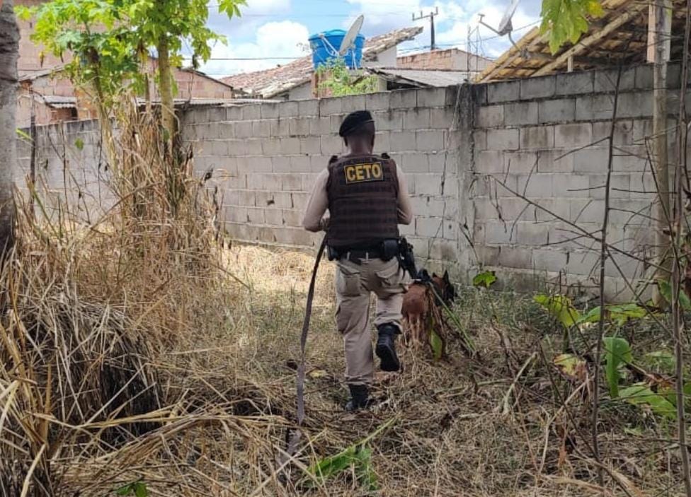 A cadela Kira localizou 58 porções de maconha escondidas em um matagal