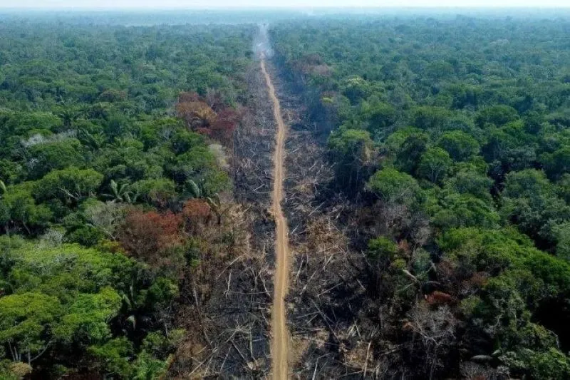 As áreas sob alerta de desmatamento na Amazônia Legal subiram para 321,9 km²