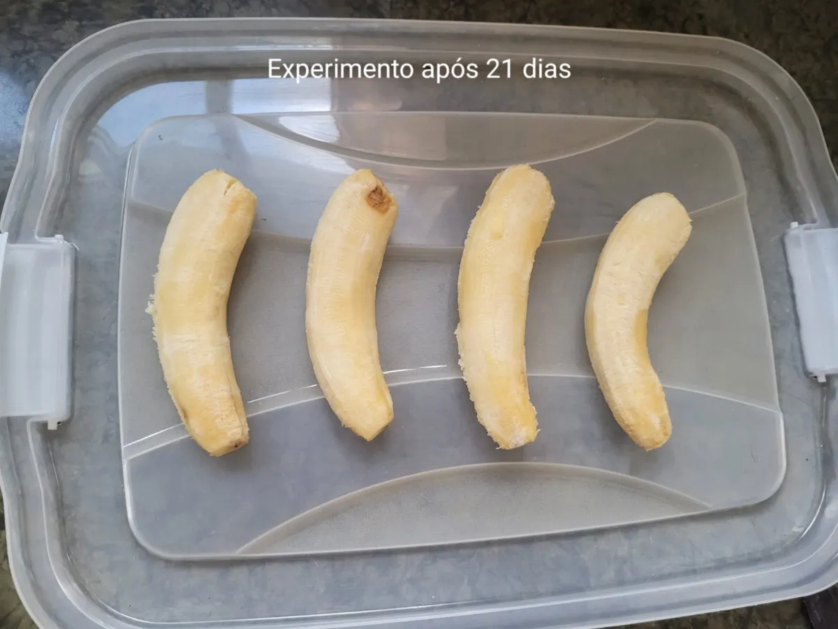 A proposta de pesquisa teve início quando as alunas perceberam que havia grande desperdício de bananas