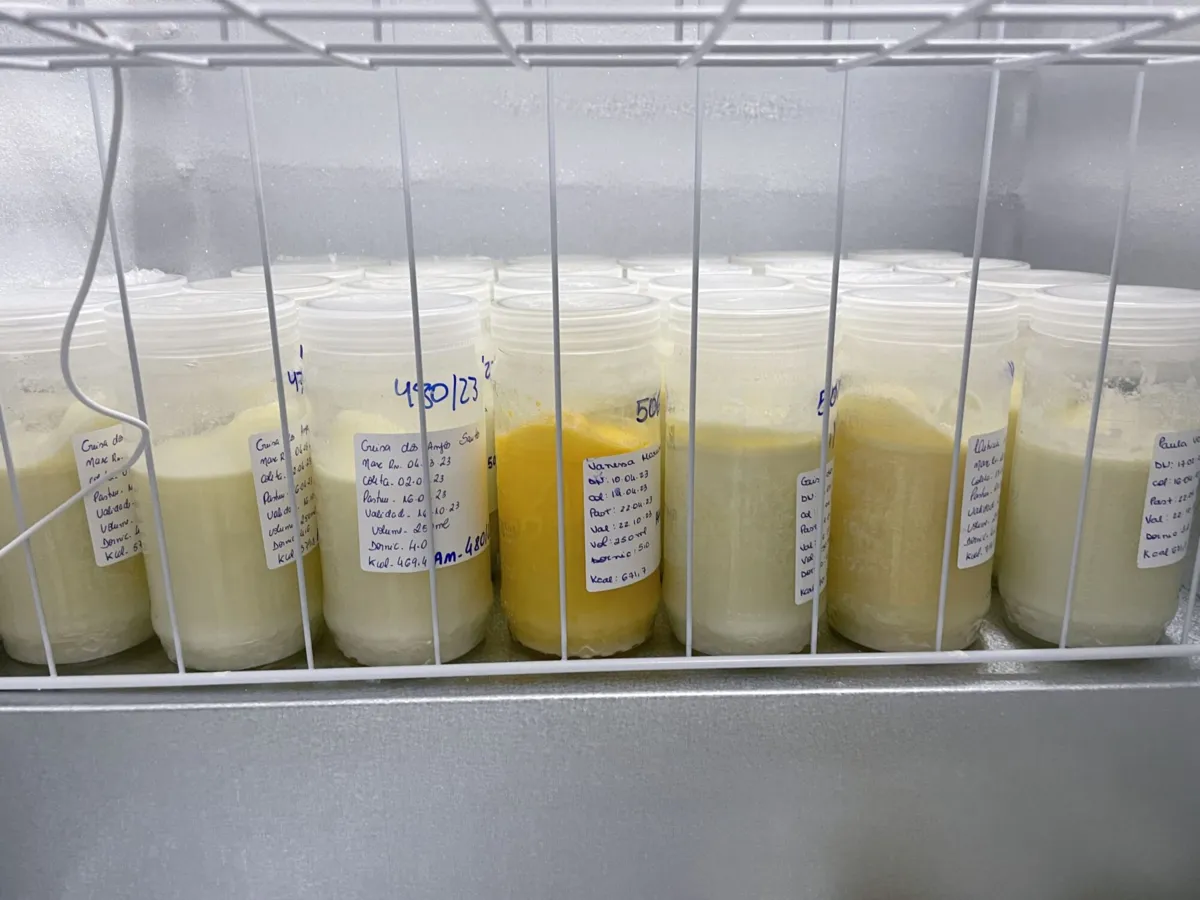 Em uma ronda podem ser coletados de 300 a 500 ml de leite materno
