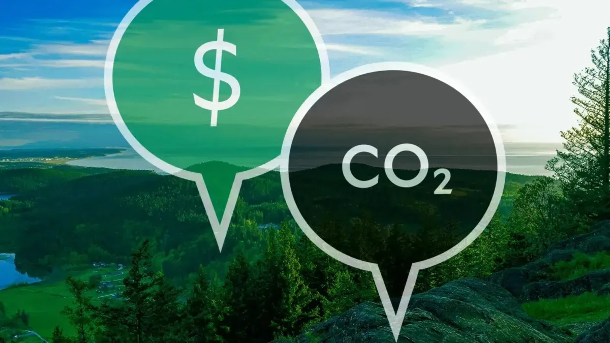 Governo federal prepara um projeto para regulamentar o mercado de carbono