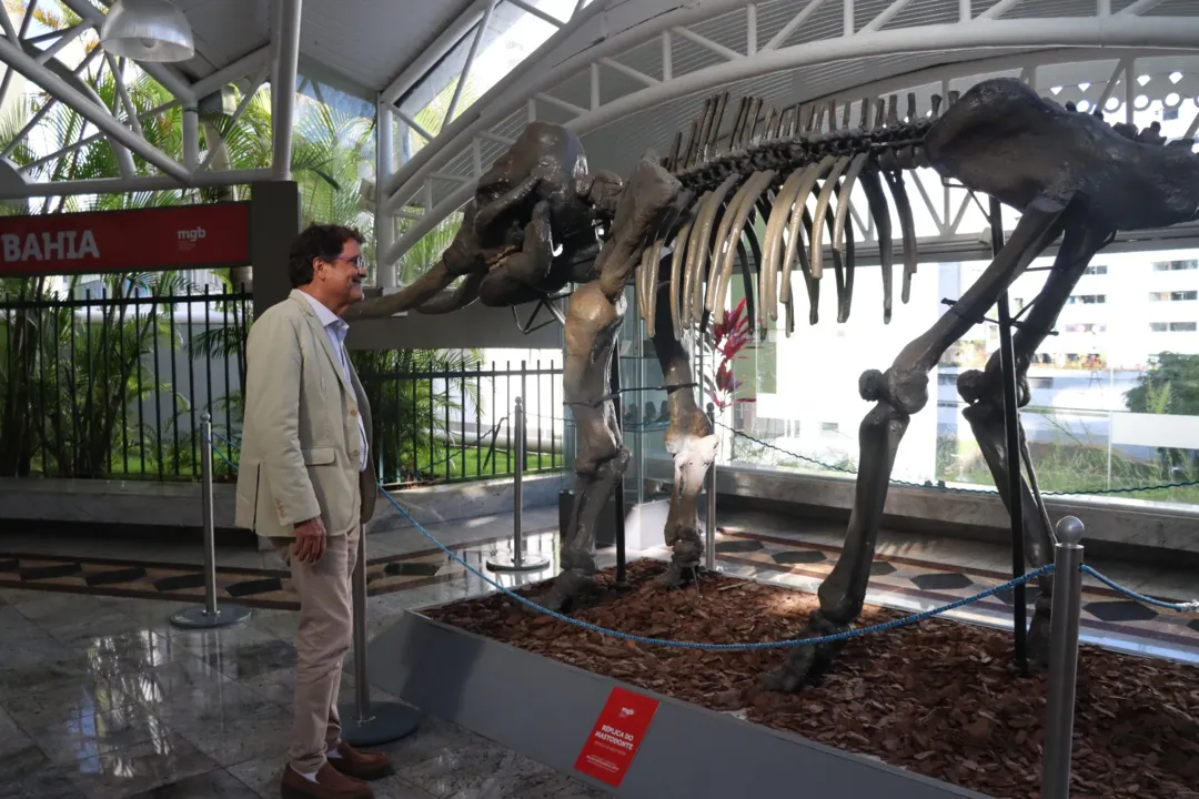 Secretário Angelo Almeida visitando o salão de fósseis do Museu Geológico da Bahia