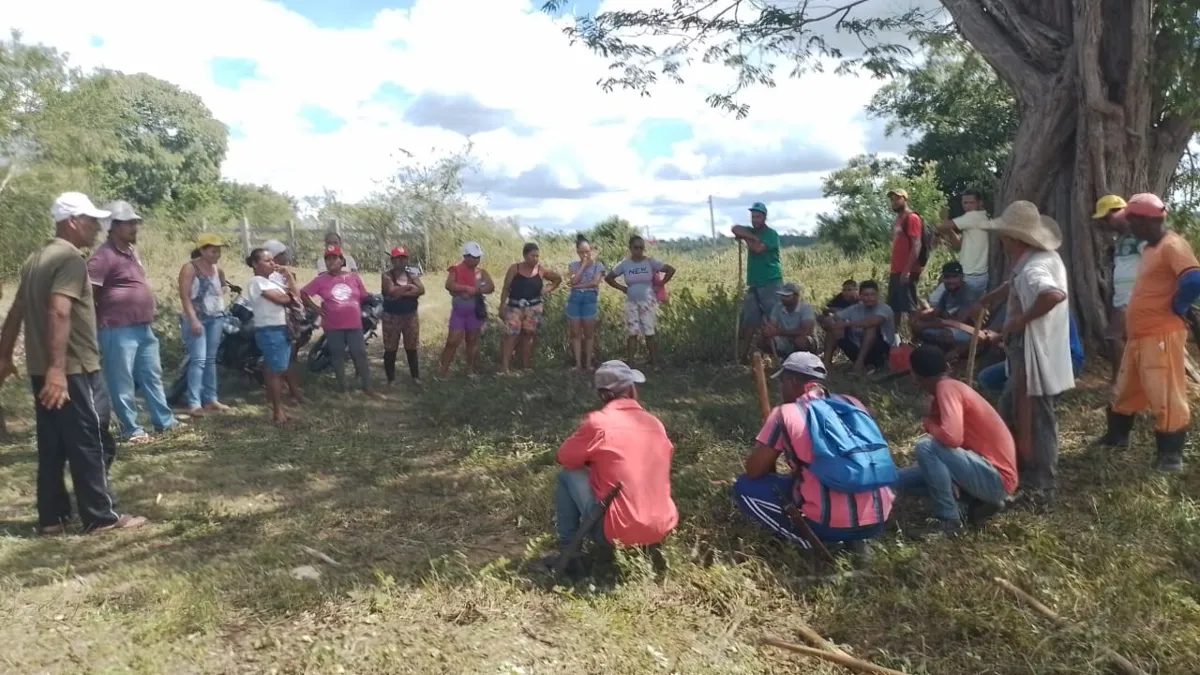 Grupo do MST que invadiu fazendo tem cerca de 170 integrantes